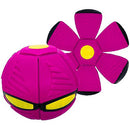 Bola Mágica Disc PETS