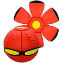 Bola Mágica Disc PETS